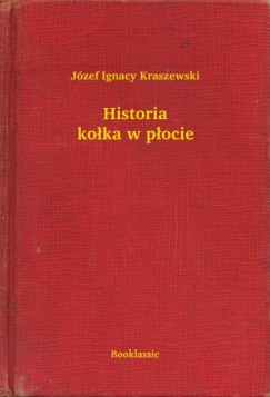 J�zef Ignacy Kraszewski - Historia ko�ka w p�ocie