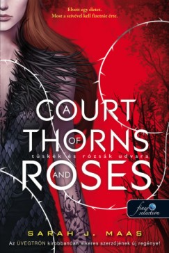 Sarah J. Maas - A Court of Thorns and Roses - Tskk s rzsk udvara (Tskk s rzsk udvara 1.)