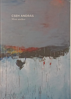 Cseh András - Mint amikor