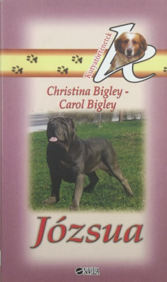 Carol Bigley - Christina Bigley - Jzsua