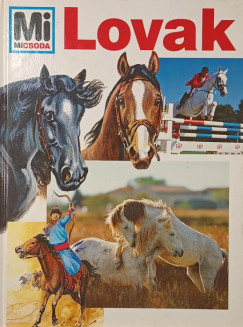 Kerstin Neumann - Lovak