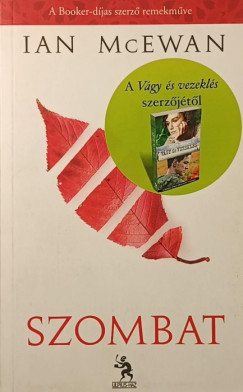 Ian Mcewan - Szombat
