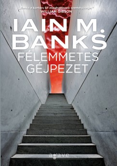 Iain M. Banks - Flemmetes gjpezet