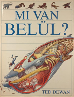Ted Dewan - Mi van bell?
