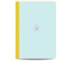 Flexbook Smartbook vonalas jegyzetfüzet világoskék-zöld, 17 × 24 cm, vászongerincű kivitelben