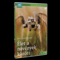David Attenborough - �let a n�v�nyek k�z�tt 2. - DVD