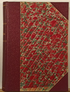 Rosa Nouchette Carey - Dianna n�ni