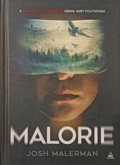 Josh Malerman - Malorie