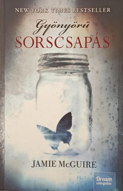 Jamie McGuire - Gyönyörű sorscsapás