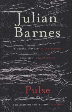 Julian Barnes - Pulse