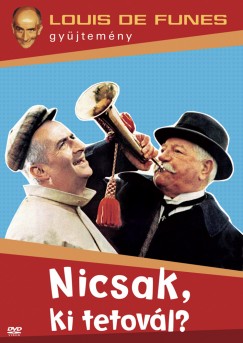 Denis De La Patelliere - Nicsak, ki tetov�l? - DVD