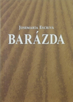 Josemara Escriv - Barzda