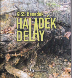 Kiss Benedek - Haladk - Delay