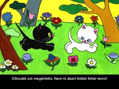 Cikicakk, a fekete cica - diafilm