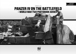 Craig Ellis - Panzer IV on the Battlefield