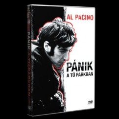 Jerry Schatzberg - P�nik a T� parkban - DVD