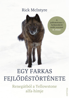 Rick McIntyre - Egy farkas fejldstrtnete - Renegtbl a Yellowstone alfa-hmje