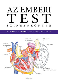 Az emberi test sz�nez�k�nyve