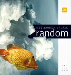 Mesterhzy Balzs - Random