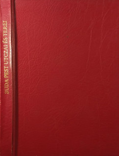 Schmall Lajos - Buda-Pest utcz�i �s terei