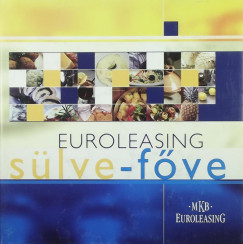 Euroleasing slve-fve