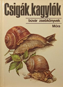 Dr. Krolopp Endre - Csigák, kagylók
