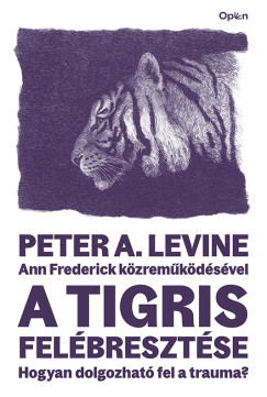 Ann Frederick - A tigris felbresztse