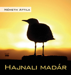 Nmeth Attila - Hajnali madr