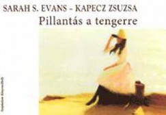 Kapecz Zsuzsa - Pillantás a tengerre