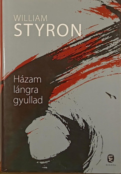 William Styron - Házam lángra gyullad