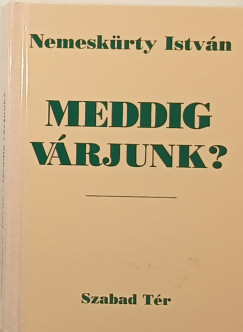 Nemeskrty Istvn - Meddig vrjunk?