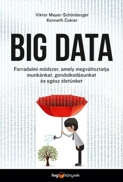 Kenneth Cukier - Viktor Mayer-Sch�nberger - Big data