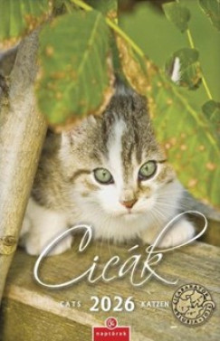 Cick falinaptr - 21x32 cm - 2026