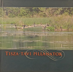 Tisza-tavi pillanatok