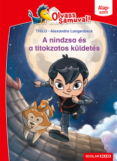 Thilo - A nindzsa s a titokzatos kldets
