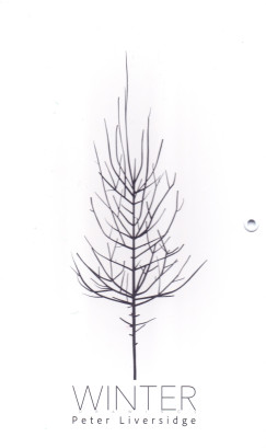 Peter Liversidge - Winter - M�v�szeti leporell� bab�knak