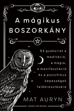 Mat Auryn - A mágikus boszorkány
