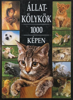 Állatkölykök 1000 képen
