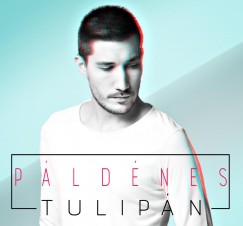 Pl Dnes - Tulipn - CD
