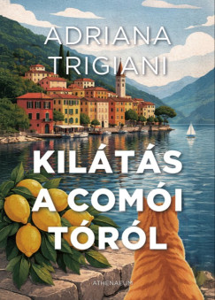 Kil�t�s a Com�i t�r�l