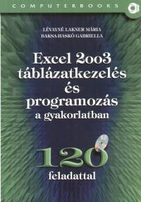 Baksa-Hask Gabriella - Lvayn Lakner Mria - Excel 2003 tblzatkezels s programozs a gyakorlatban