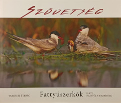 Turczi Tiborc - Szvetsg