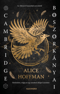 Alice Hoffman - Cambridge boszork�nyai