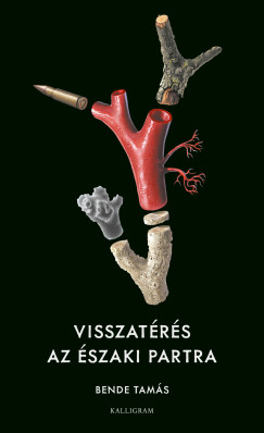 Bende Tamás - Visszatérés az északi partra