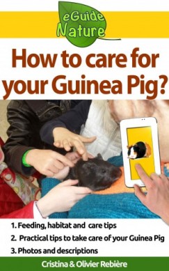 Olivier Rebiere Cristina Rebiere - How to care for your Guinea Pig? - Small digital guide to take care of your pet