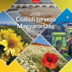 Csaldi tervez Magyarorszg  - Lemeznaptr - 58x29cm - 2026