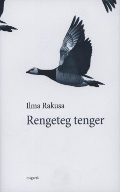 Ilma Rakusa - Rengeteg tenger
