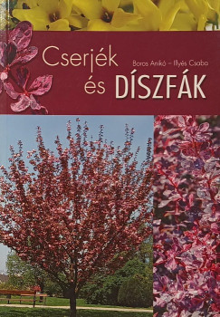 Boros Anik� - Cserj�k �s d�szf�k