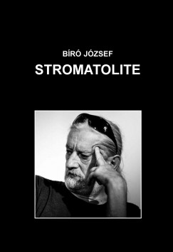 Br Jzsef - Stromatolite