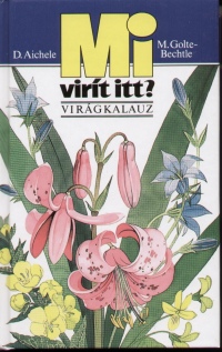 Dietmar Aichele - M.Golte Bechtle - Mi virt itt? - Virgkalauz